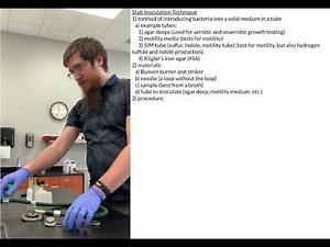 Stab Inoculation Technique