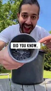 1.1M views · 19K reactions | Amazing what you can do with just 1 slice of strawberry 朗 Next time you buy strawberries, try doing this so that you don’t have to keep buying them!  . . . . #strawberry #strawberries #gardening #lifehacks #kitchenhacks #plantbased #diy #howto #vegan #recycle #upcycle #hacks | creative explained | Facebook