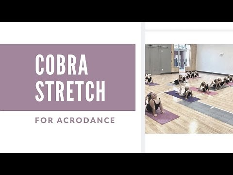 Perfect Cobra Stretch- Beginner Acro- Beginner Stretches