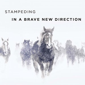 82 reactions · 4 comments | We’re investing $200M to re-invent our base area, expand our mountain and transform the experience. | Steamboat Resort | Facebook