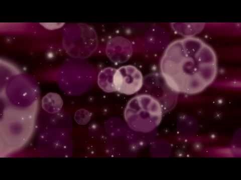 4K Flowers Haze - Moving Background #AAVFX Live Wallpaper