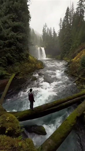 ✨ Send this to someone who needs to start planning an Oregon trip! Oregon is one of our all time