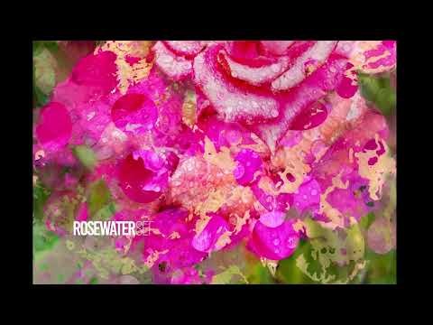 These landscapes are portals to timeless experience. The 2025 collection by Chris Purdy