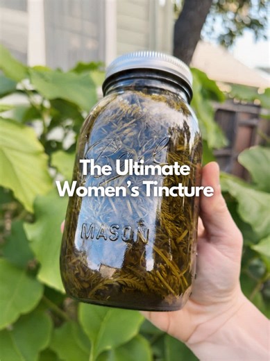 If you’re not growing medicinal herbs in your garden you are missing out some of the most studied and helpful remedies available, and one of the best & easiest is Yarrow (Achillea Millefolium). It has been used for thousands of years for pain, both topical and internal, which is why it’s also been called Woundwort. It is a powerhouse and essential herb when it comes to menstrual pain, cramps and related discomfort, and the best part is that it is easy and simple to make. Grow it in your garden, 