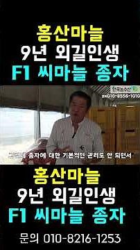 [한국농수산TV] 9년간 홍산마늘 종자 외길! '쓰레기 종자' 피하고 진짜 F1 일대종 구하는 법