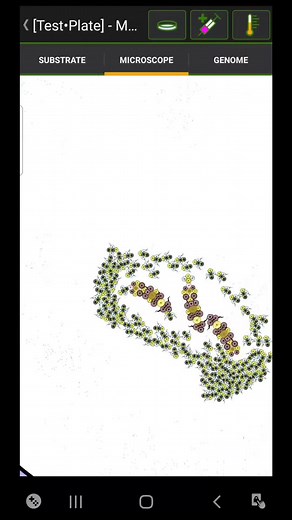 Bees 🐝. #foryoupage #fypage #foryou #fyp #fypシ #fypシ゚viral #cell_lab #celllab #cellab #cell #cells #cytology #science #biology #bio #game #phonegames #android #bee #bees #queenbee