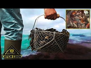 Creamy cheesy garlic mussels! [Catch Cook] Pennington, South Africa