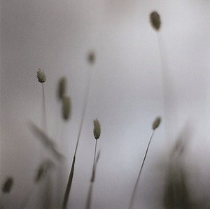Peter Broderick - Float