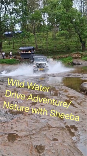 വെള്ളം കണ്ടാൽ ഞാൻ നിൽക്കില്ല കേട്ടോ?/Nature with Sheeba