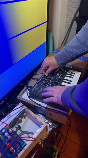 Mad microbrute! #electronicmusic #synth #synthesizer #dronemusic #arturia