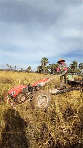 VS4969, Kubota RT140 Vs RT120 vs ZT140 small truck Walking tractor #shorts