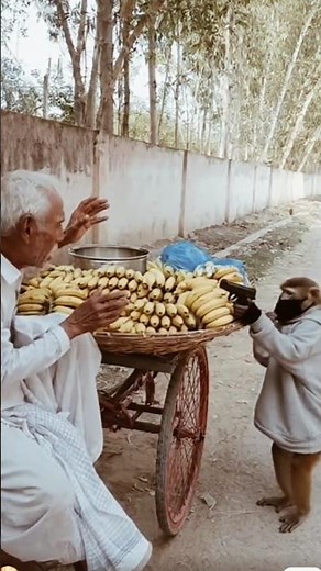 "Funny Monkey Doing Crazy Things 😂🐒#FunnyMonkey #MonkeyVideo