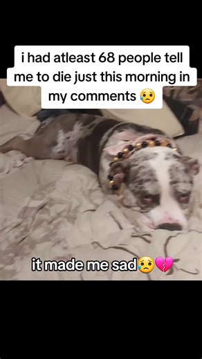it's never ending , onto the blocked list you go💔#heartbreaking #xlbully #fyp #dogsoftiktok #bullybreeds
