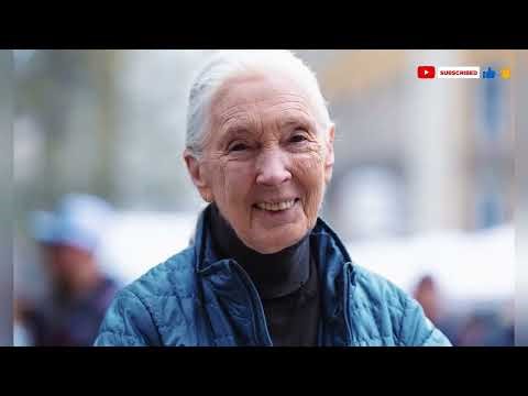 Jane Goodall 1934–2025 — A Life for Animals, People & the Planet