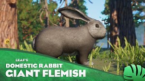 Giant Flemish Rabbit - New Domestic Species (1.12)