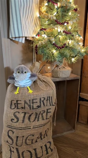 Ava's New Favorite Cat Toy Review