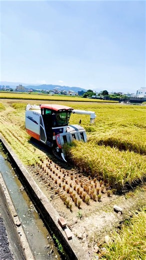 Kubota DR120 rice harvester machine 🌾 #shorts #kubota #combineharvester