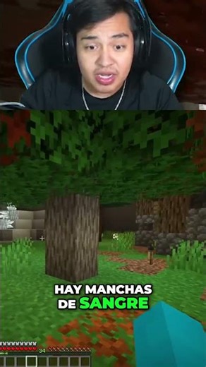 I discovered a secret passage in Minecraft