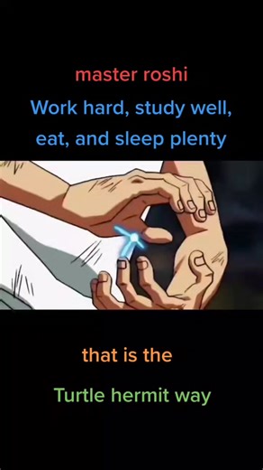 Master Roshi Quote - Work Hard, Study Well, Eat Well, and Sleep Plenty