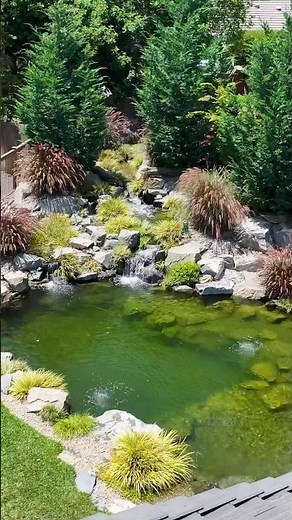 Build me a Lagoon in my Backyard 🏝️ #landscapedesign #naturalpool #swimmingpool