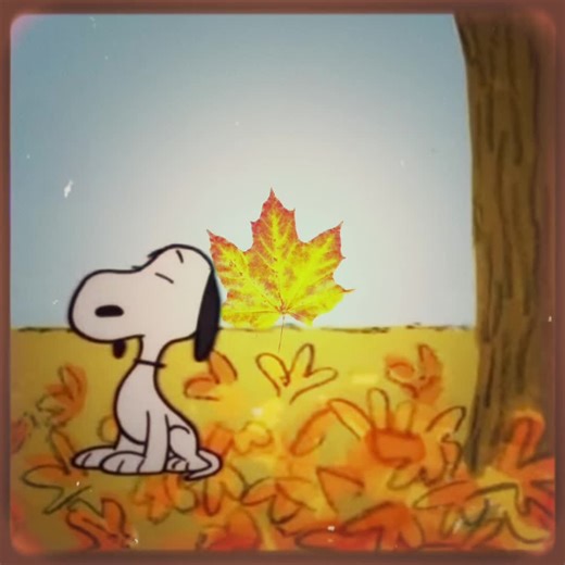 happy fall from me and snoopy🍁 || #charliebrown #snoopy #fyp #fall #autumn #edit #snoopyedit #peanuts #smashingpumpkins #yay #giggle #cute #snoopyfall #viral #filmedit
