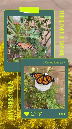 New Beginnings with Jesus: Encouragement for Today! #bible #butterfly