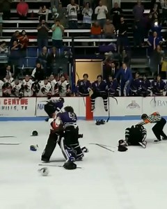 287K views · 1.6K shares | A goalie fight broke out during an NAHL preseason game 聾壘 https://twitter.com/RobSandersonPxP | Hooked On Hockey Magazine | Facebook
