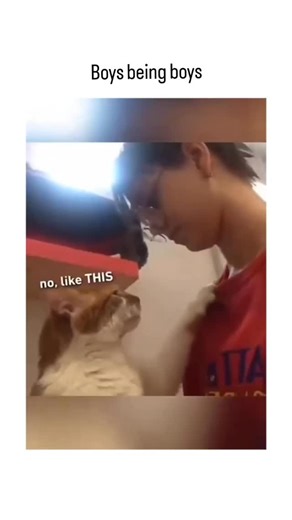 @unstoppablelaugh_ | The post shares a 44-second compilation video of male cats mounting women's legs or bodies in playful or insistent ways, captioned "Boys... | Instagram