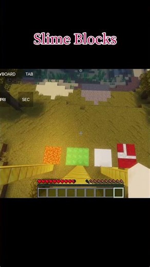 Minecraft 🚂.