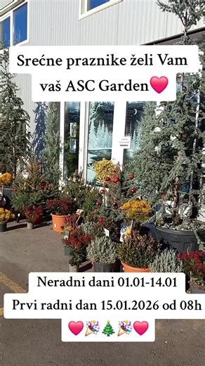 Srećni praznici❤️ASC Garden Vam želi srećnu i uspešnu novu godinu i mnogo sreće i zdravlja. Nadamo se češćem druženju sa vama😍🪴 🌿 ASC Garden, Pančevački put 86, Beograd Radno Vreme: Pon-Pet 8-18h, Sub 8-15h, Nedelja Zatvoreno 📞 **Kontaktirajte Nas:** Telefon: 063 22 44 12 060 75 22 442 Email: info@ascgarden.com 📣 **Pratite Nas Na Društvenim Mrežama:** Facebook: /ASCGarden Instagram: @asc_garden
