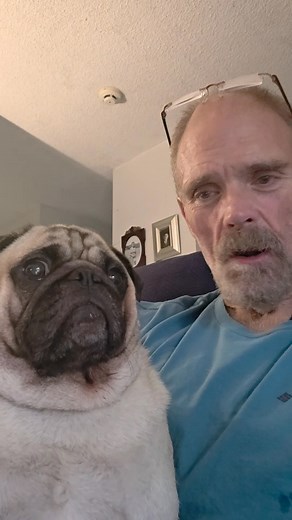 Happy Halloween from Duct Decontaminators and Charlie! | Tim Hendrickson