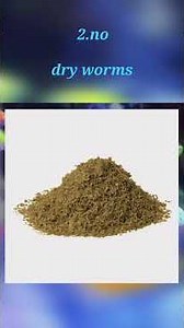 best tetra fish food