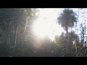 Explore Long Island at Melbourne Gardens