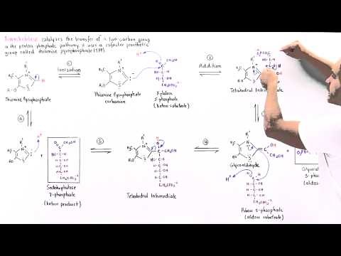 Mechanism of Transketolase