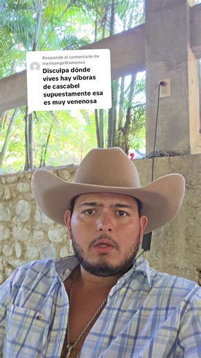 Serpientes Venenosas de Guatemala: El Cantil