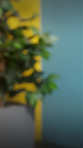 | SS IT Software Online Training | IT courses | on Instagram: "🚀 𝐁𝐞𝐜𝐨𝐦𝐞 𝐚𝐧 𝐀𝐛 𝐈𝐧𝐢𝐭𝐢𝐨 𝐄𝐱𝐩𝐞𝐫𝐭 𝐢𝐧 𝐖𝐞𝐞𝐤𝐬! Design, develop, and optimize ETL & big data solutions with our interactive online training. 💡 𝐂𝐨𝐮𝐫𝐬𝐞 𝐂𝐨𝐯𝐞𝐫𝐚𝐠𝐞: Ab Initio GDE & Co>Operating System Graphs, data sets, & parallel processing Data profiling & cleansing End-to-end project implementation 🎓 𝐖𝐡𝐲 𝐓𝐡𝐢𝐬 𝐓𝐫𝐚𝐢𝐧𝐢𝐧𝐠? Live interactive sessions Real-world case studies Flexible timings