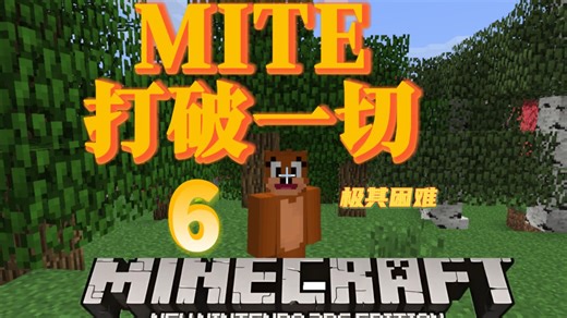 MITE极其困难6