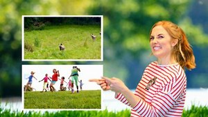 Let's Move Song - The Zoo and You Songs - CBeebies