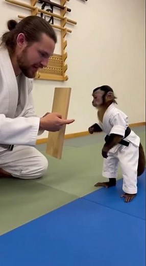 Monkey Masters Karate? Watch This Hilarious Training Attempt! 🥋🐒