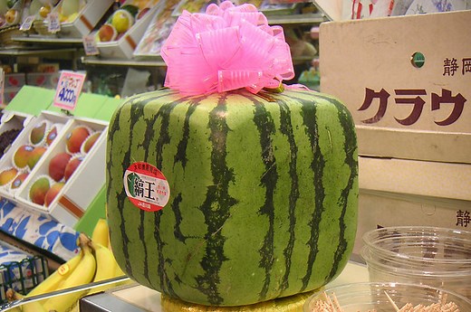 Japan Begins Selling Cube-Shaped Watermelons To Customers Around The World