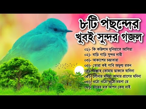 আপনার মন প্রাণ মুগ্ধ করা ৮টি গজল | Mind-blowing Top 8 Gojol | Bangla Gojol | বাংলা গজল | Gazal Video