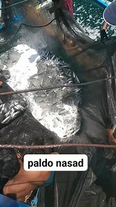 78K views · 1.3K reactions | Vincent Dimal on Reels | Facebook