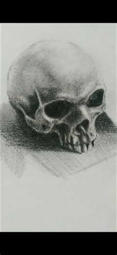 Drawing a skull. #shorts #pencil #pencildrawing #skull