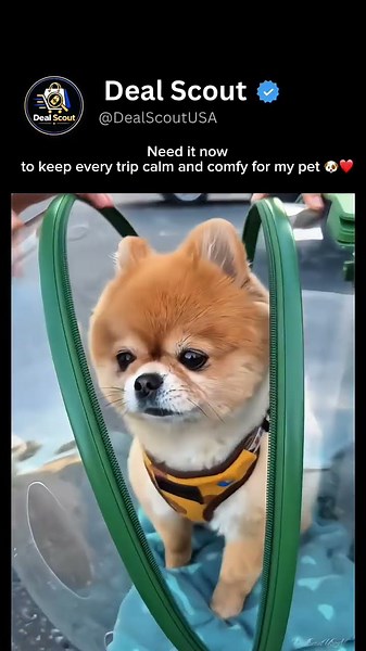 Make every trip easier with this comfy pet carrier 🐾❤️. Comment for Link 🔗 #shorts #cute #pets