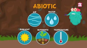 ECOSYSTEM - The Dr. Binocs Show | Best Learning Videos For Kids | Peekaboo Kidz