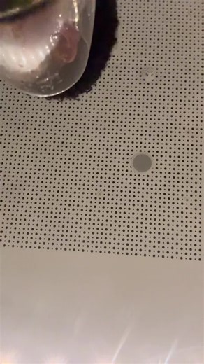 Videos de saga stq (@saga.stq) con “som original - May”