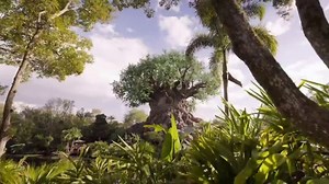 Disney World TV Spot, 'All the Magic'