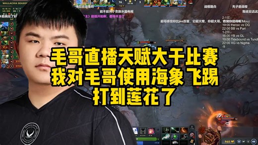 XinQ：毛哥直播天赋大于比赛，我对毛哥使用海象飞踢打到莲花了