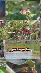 El 6 de julio se conmemora el Día Mundial de las #Zoonosis, una fecha...