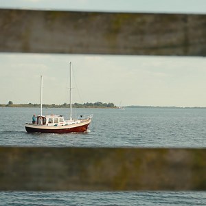 100K views · 700 reactions | Het Lauwersmeergebied is een van de mooiste natuurgebieden van Nederland. Vergezichten op de horizon, schitterende flora en fauna, een waar vogelparadijs. | Er Gaat Niets Boven Groningen | Facebook